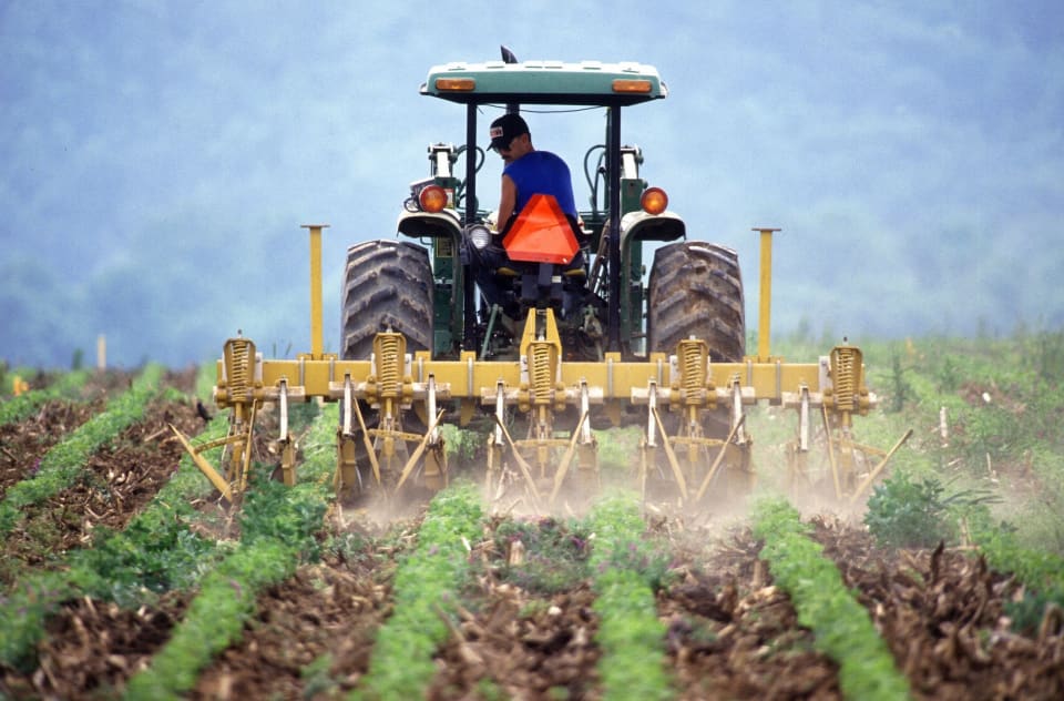 farmer