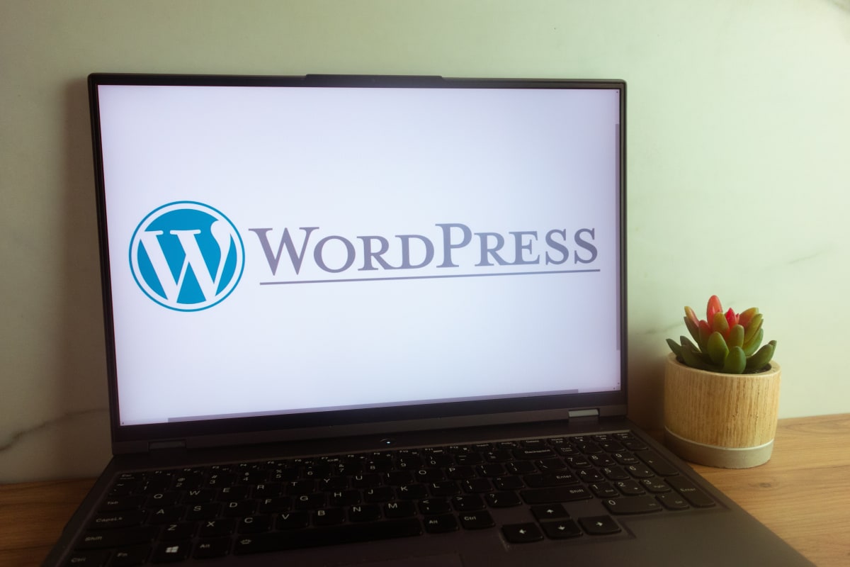 wordpress developer